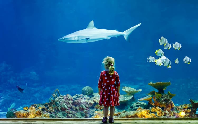 Aquarium de Paris Priority Access Tickets