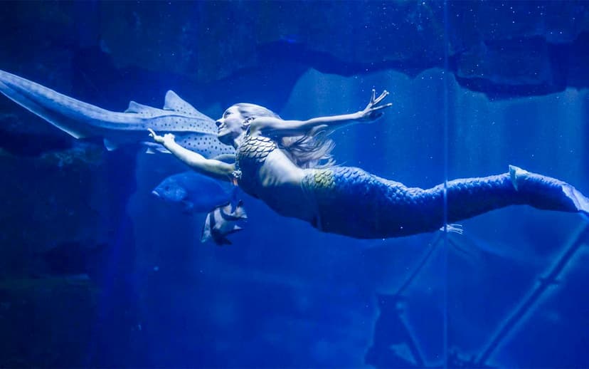 Aquarium de Paris Priority Access Tickets