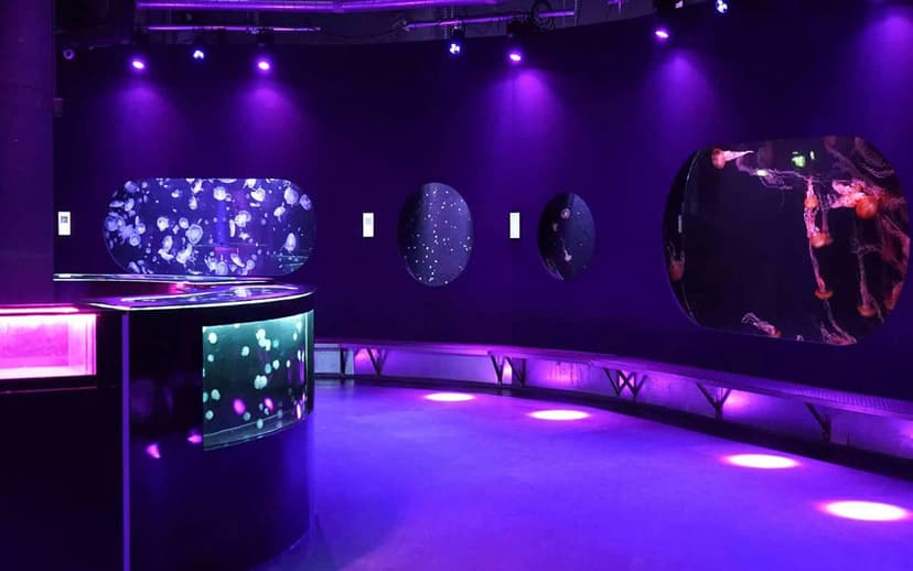 Aquarium de Paris Priority Access Tickets