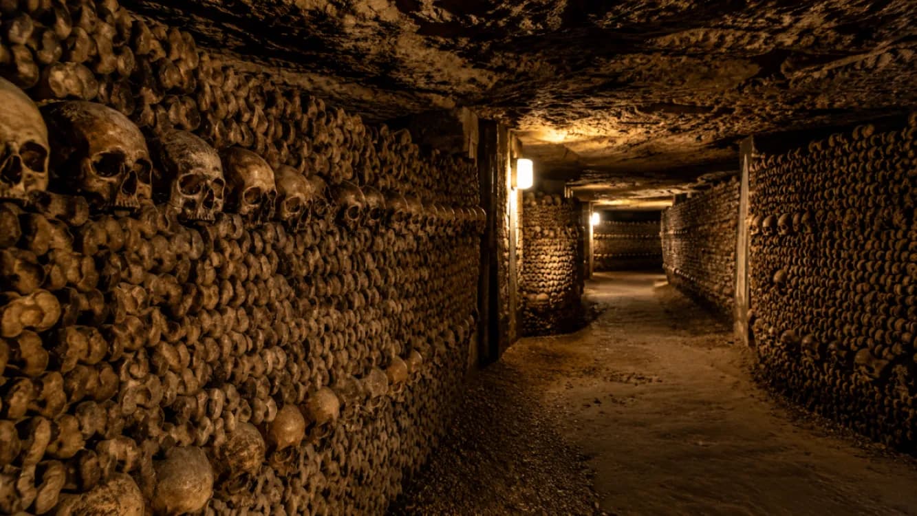 Guide des visiteurs des Catacombes de Paris 2026 : Billets, entrée et conseils