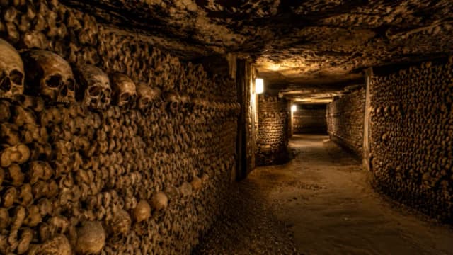Guide des visiteurs des Catacombes de Paris 2026 : Billets, entrée et conseils