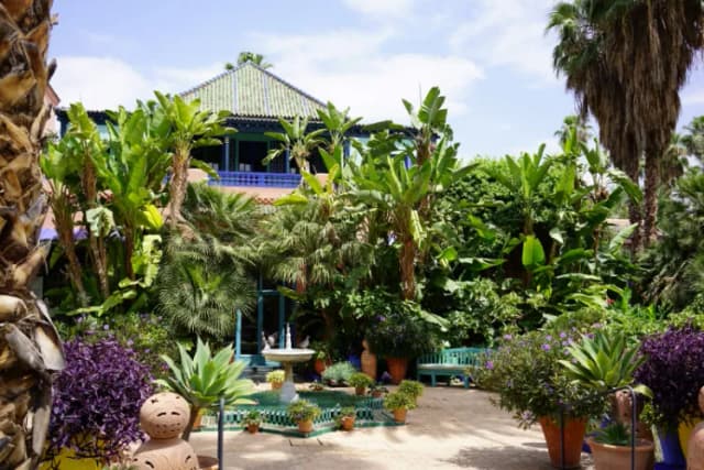 5 consejos para vivir una experiencia inolvidable en el Jardín Majorelle