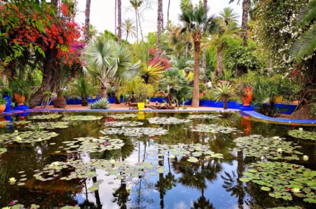Descubrir el Jardín Majorelle: El encantador oasis botánico de Marrakech